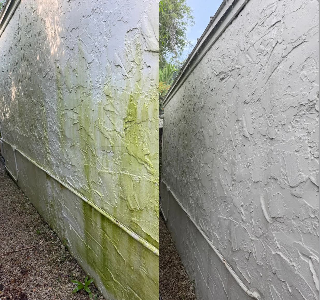 House soft washing before and after comparison showing algae removal from a stucco wall