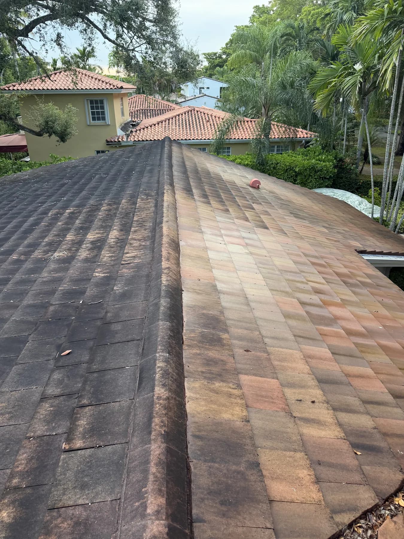 Project B roof cleaning in progress showing the contrast between stained and treated tile