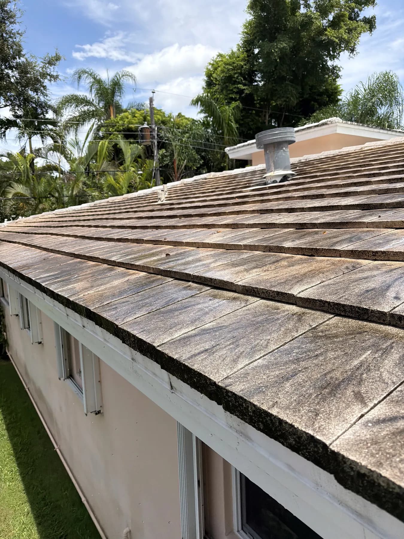 Project A before roof cleaning showing dark organic staining across white roof tiles