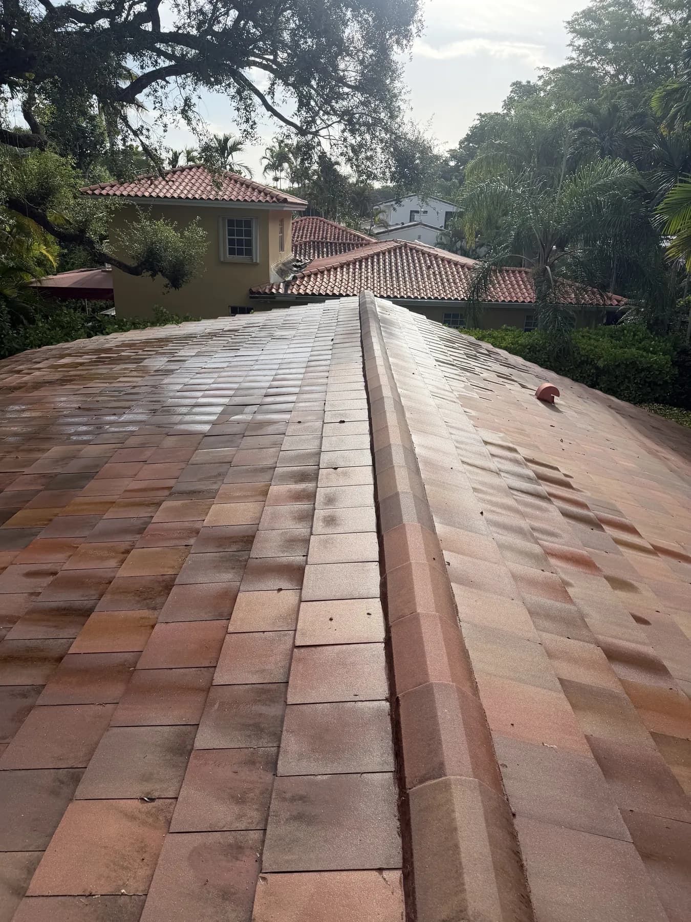 Project B after roof cleaning showing the restored reddish-tan tile roof
