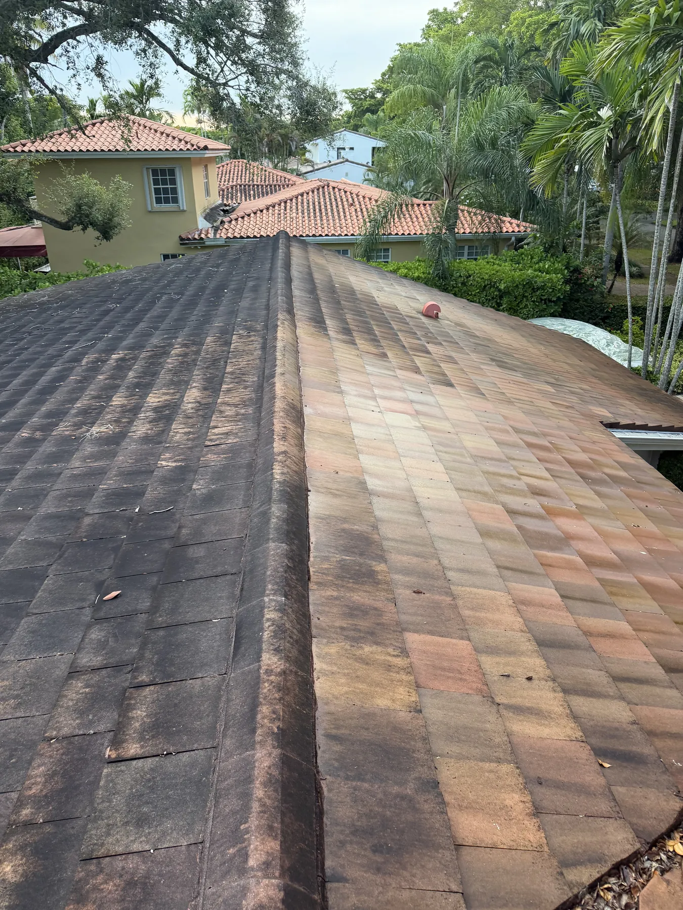 Project B roof cleaning in progress showing the contrast between stained and treated tile